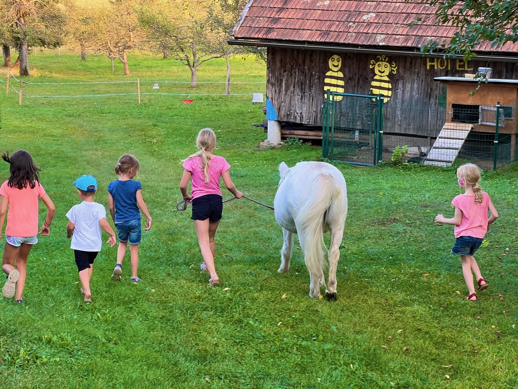 Gemeinsamer Spaziergang